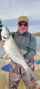 Осень удивляет! Осень удивляет!